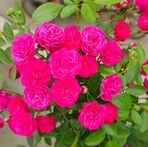 Athar Rahman - Facebook