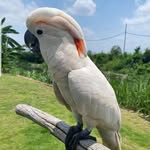Athar Shah - @athar90333 - Instagram