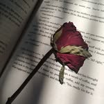 اطہر - @athar_tariq_vaid - Instagram