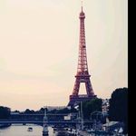 Atharva Bhide - @_camelia_sinensis_ - Instagram