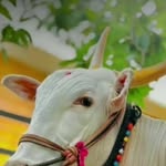 ATHARV AKHARE - @atharv_akhare_ - Instagram