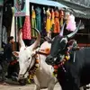 Atharva Mhatre - @atharvamhatre58 - TikTok