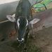 Atharva Patil - Facebook