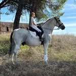 Athena allen - @horsesa2024 - Instagram
