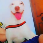 @athena.alvesdealmeida - Instagram