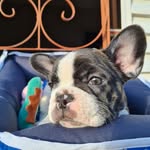 Athena_Almeida - @athena_almeidaa - Instagram