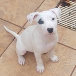 Athena Scola Almeida - @tete_pitt0910 - Instagram