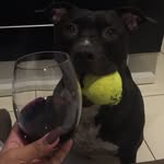 Pit Athena Almeida - @pitathenalmeida - Instagram