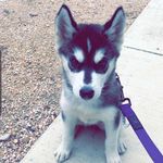 Athena - @athenaalvarez_ - Instagram