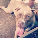 Athena Andrade - @athena_burton_ - Instagram