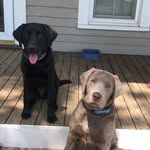Athena May & Apollo Anthony - @athena_apollo18 - Instagram