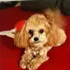 Athena Argyros - @user12212375 - TikTok