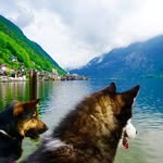 Athena & Arthur - @athenas.adventure - Instagram