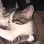 Athena Atkins - @athenatkins12 - Instagram