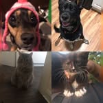 Athena.Bailey.Champ.Selena - @thelongs01 - Instagram