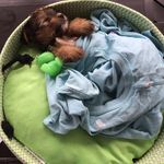 Bailey Athena Klapp - @bailey_athena - Instagram