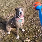 @_athenaballerina - Instagram