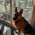 athena - @athena.ball.eckert - Instagram