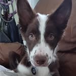Athena - @athena_ballena - Instagram