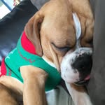 Athena - @athena_baller - Instagram