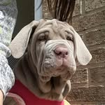 Athena - @athenaballarina - Instagram