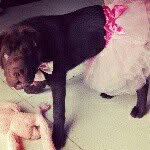 cheyenna wood - @athena_ballerina98 - Instagram