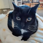 Athena M Barnes - @squeakie72 - Instagram