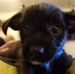 Athena Barnhart - Facebook