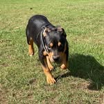 Athena - @athena_barton - Instagram