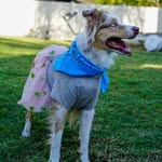 Athena Barton - @athena.the.aussie_ - Instagram