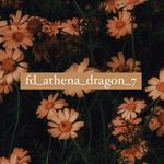 @athena_photo_battle - Instagram