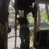 athena - @athena__000 - TikTok