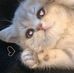 Boiser Baustista Athena May - Facebook
