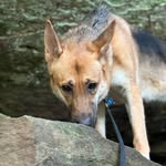 Athena - @_athena_bean_ - Instagram