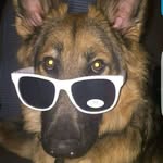 Athena bean - @athena_bean._gsd - Instagram