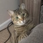 Athena Bean - @athenabean476 - Instagram