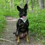 Athena Bean - @athena.tpa.ind - Instagram