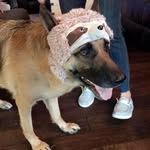 @athena_bean_ - Instagram
