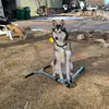 athena.beans - @athena.beans - TikTok