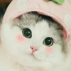 Athena Chan - @2178291145 - TikTok