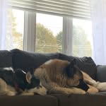 Athena & Chase - @athena.and.chase - Instagram