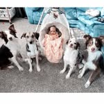 Athena,Wanderer,Atlas,Chase - @the_quad_squadd - Instagram