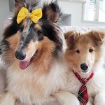 ATHENA E CLARK - @athenaeclark - Instagram