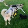 Athena_Hunter_Layla - @athena_hunter_layla - TikTok