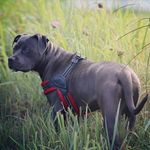 Athena Marie Morris - @athena.the_great - Instagram