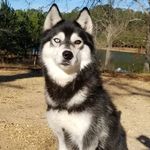 Athena Rogers - @bi_eyedprincess22 - Instagram