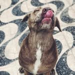 Athena Rodriguez - @athenaromowuau - Instagram