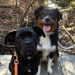 Athena & Clio Simpson - @athena_and_clio - Instagram