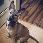 Athena KiRa Watson - @athenakira_spamm - Instagram