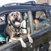 Athena Watson - Facebook